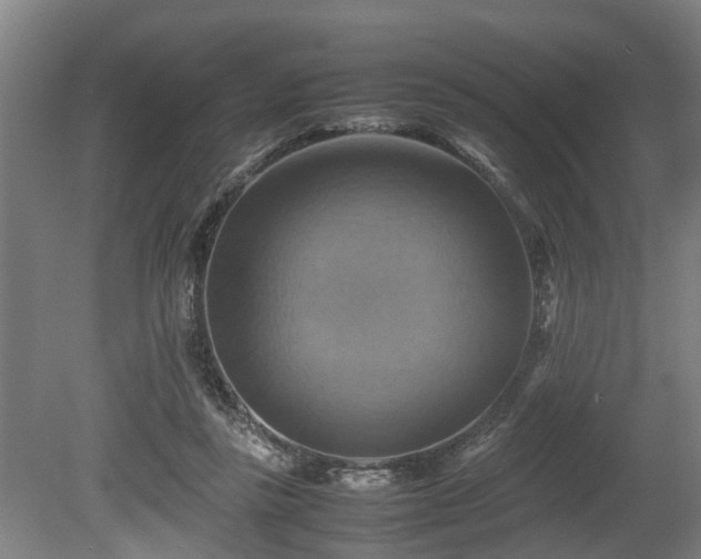 X0000080660355200612221057