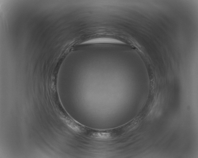 X0000080660361200612221057