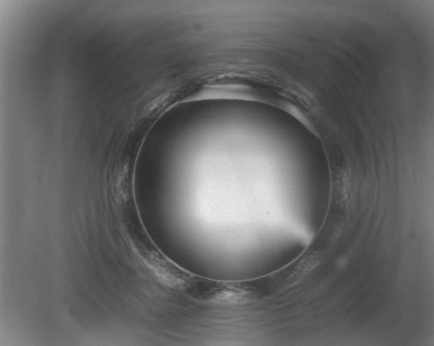 X0000080660364200612221057
