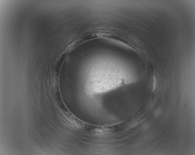 X0000080660367200612221057