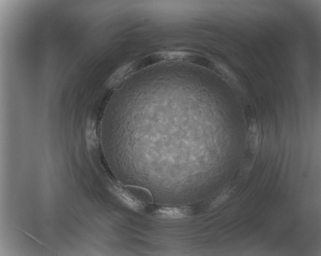 X0000080660381200612221057