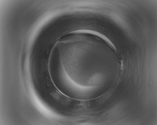 X0000080660383200612221057