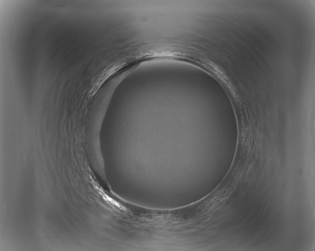 X0000080660385200612221056