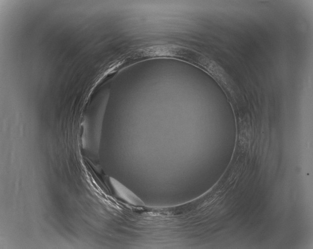 X0000080660386200612221056