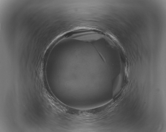 X0000080660387200612221056