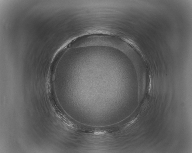 X0000080660388200612221056