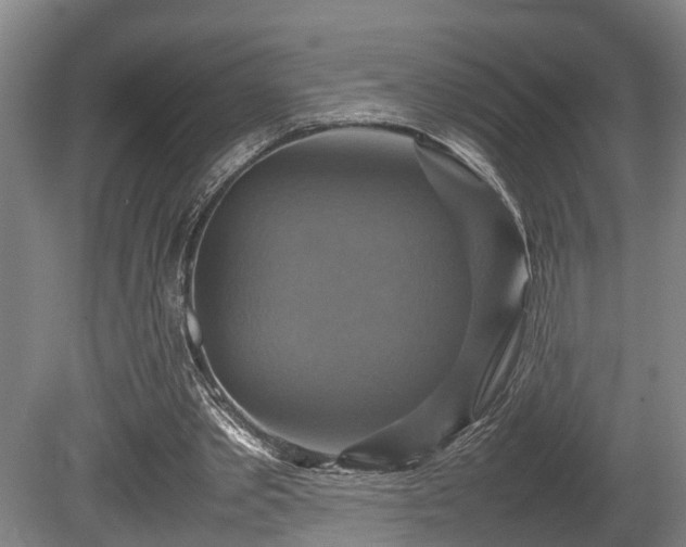 X0000080660389200612221056