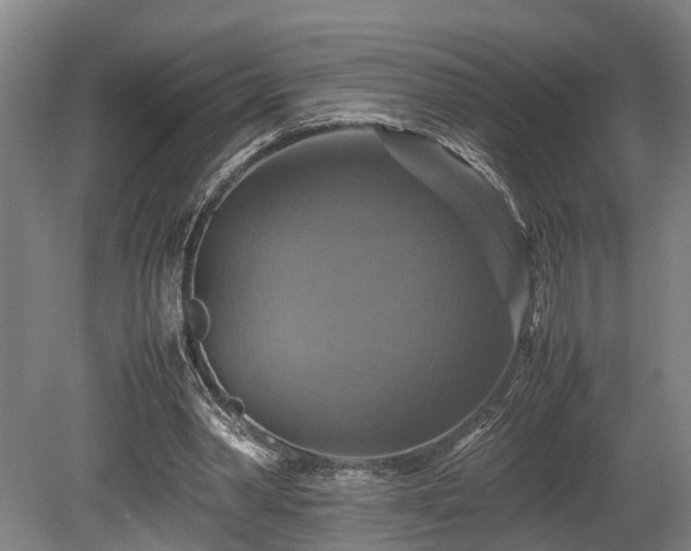 X0000080660390200612221056