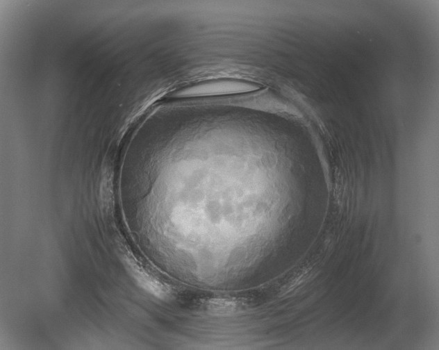 X0000080660394200612221056