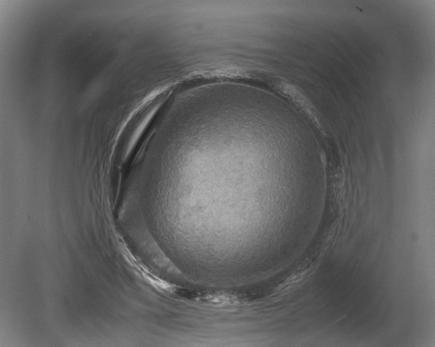 X0000080660395200612221056