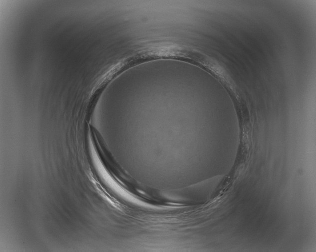 X0000080660397200612221056