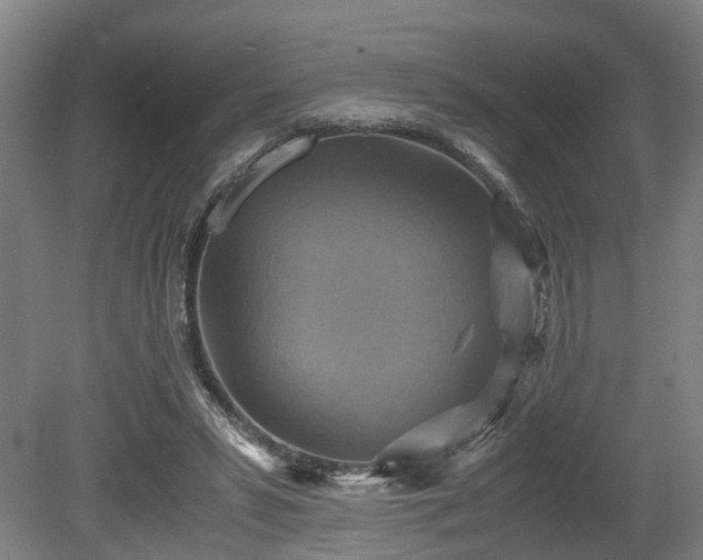 X0000080660399200612221056