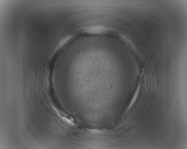 X0000080660400200612221056