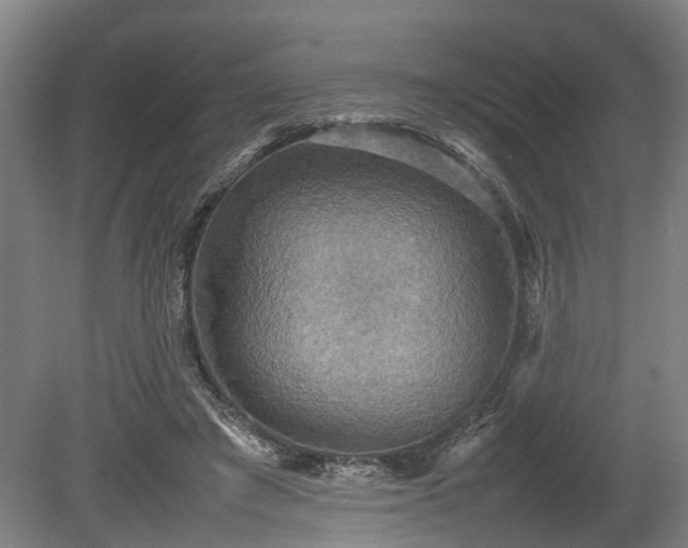 X0000080660401200612221056
