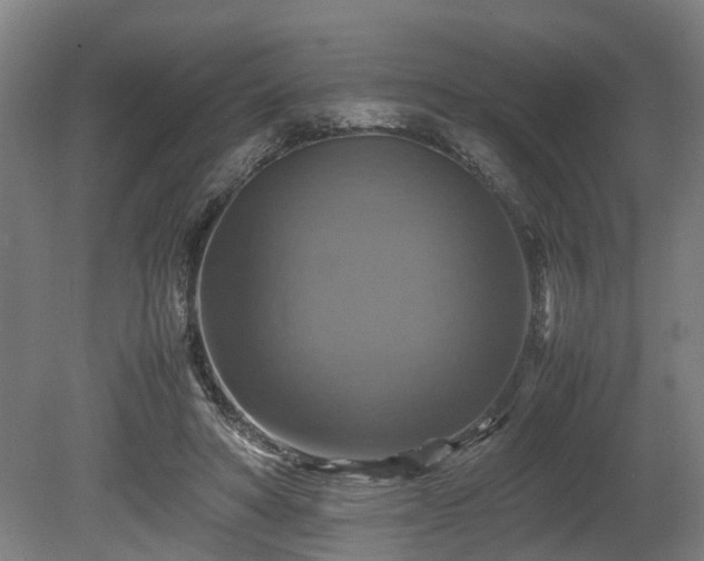 X0000080660402200612221056