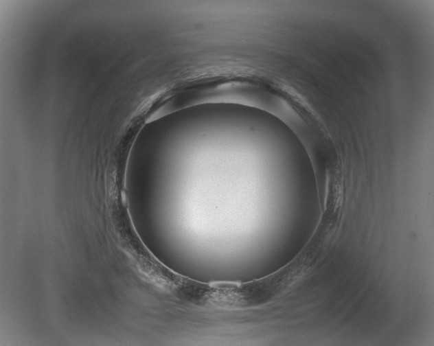 X0000080660403200612221056