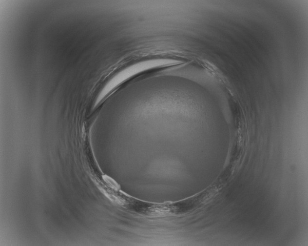 X0000080660405200612221056