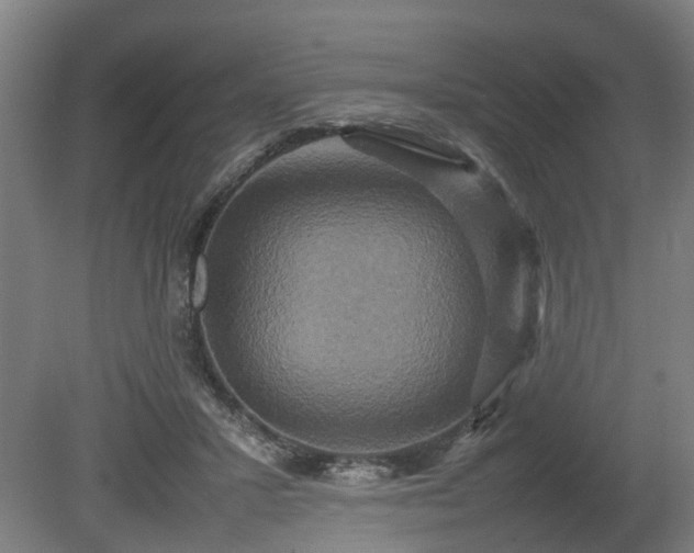 X0000080660407200612221056