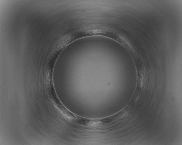 X0000080660410200612221056