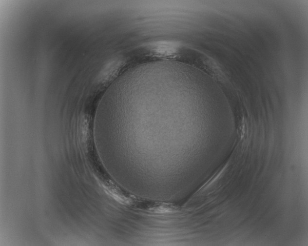 X0000080660412200612221056