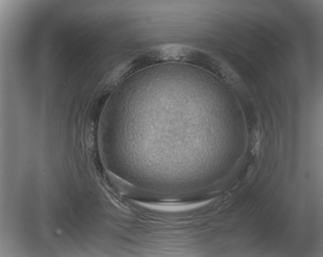 X0000080660413200612221056
