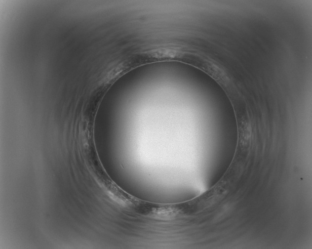 X0000080660414200612221056