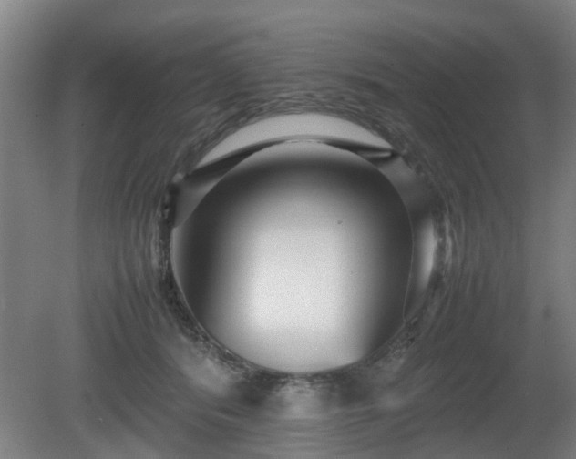 X0000080660416200612221056
