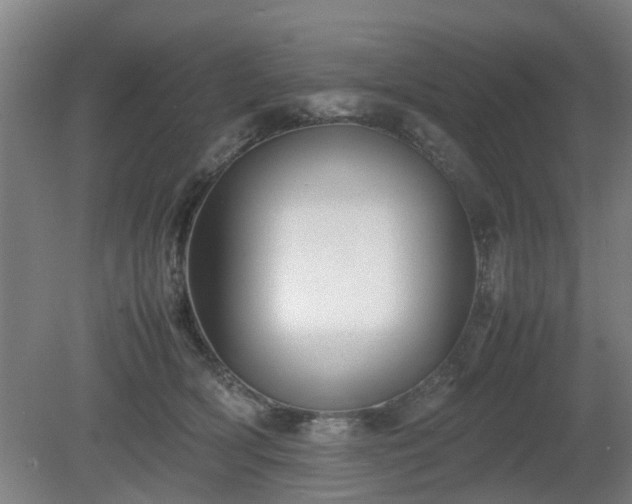 X0000080660418200612221056