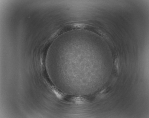 X0000080660424200612221056