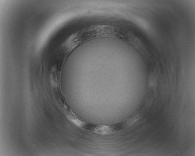 X0000080660431200612221056