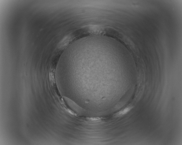 X0000080660432200612221056