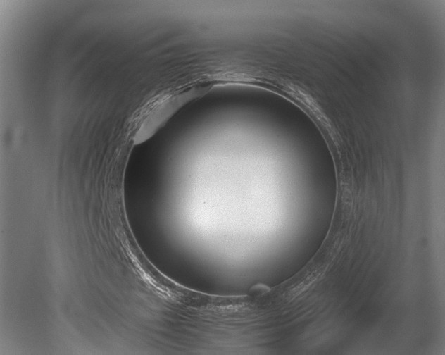X0000080660433200612221055