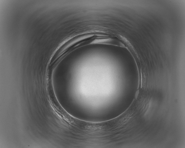 X0000080660435200612221055