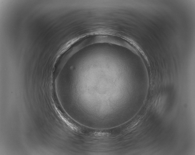 X0000080660437200612221055