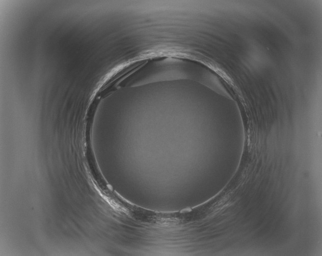 X0000080660438200612221055
