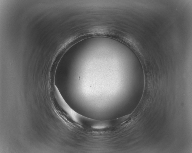 X0000080660439200612221055