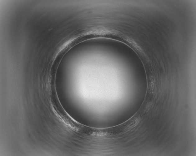 X0000080660440200612221055