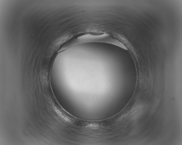 X0000080660441200612221055
