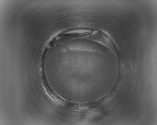X0000080660443200612221055