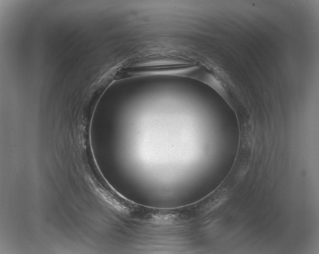 X0000080660450200612221055