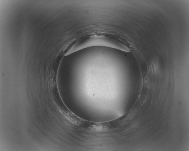 X0000080660464200612221055