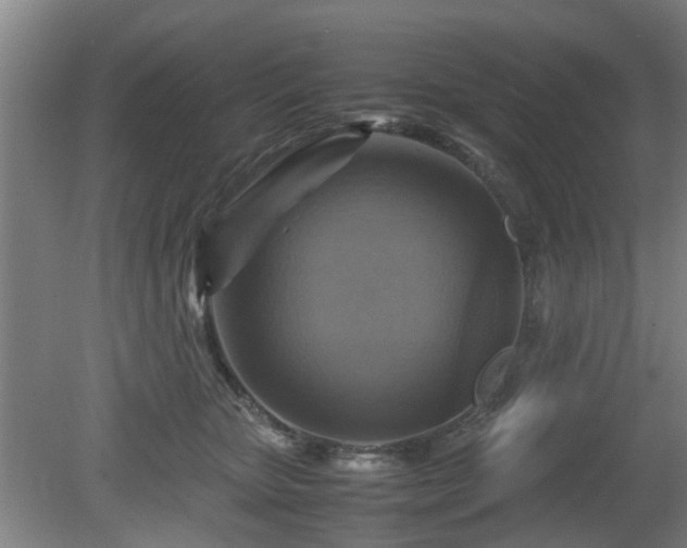 X0000080660467200612221055
