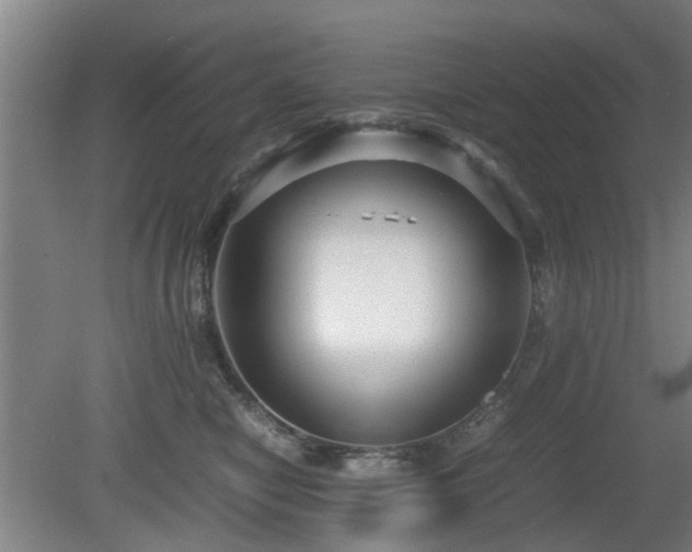 X0000080660470200612221055