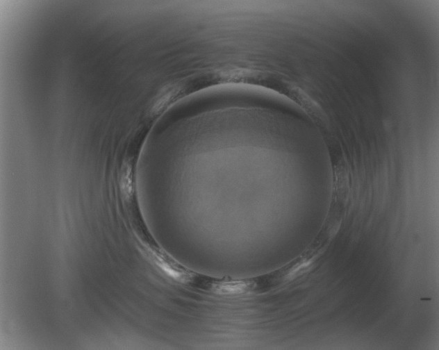 X0000080660479200612221056