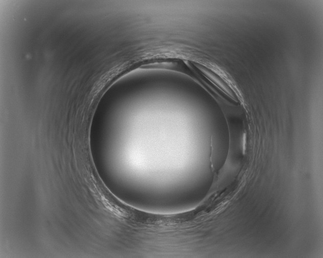 X0000080660481200612221055