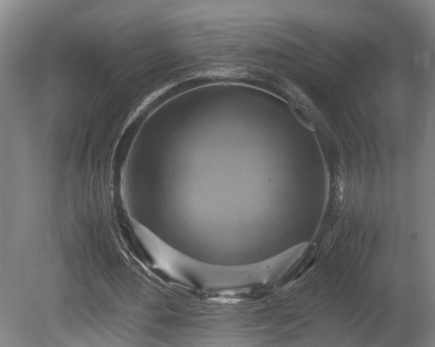 X0000080660484200612221055