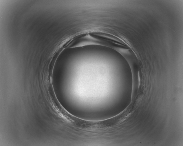 X0000080660485200612221055