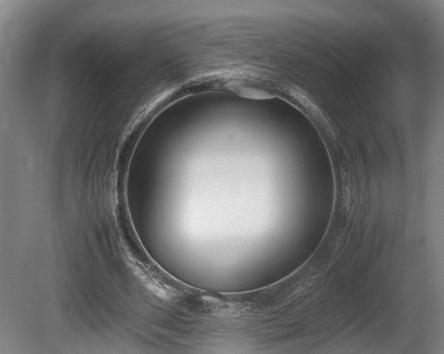 X0000080660486200612221055