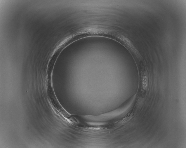 X0000080660488200612221055