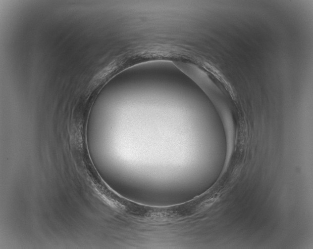 X0000080660489200612221055
